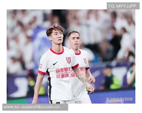 足球明星遭球迷挑衅反击引发热议赛场内外情绪高涨